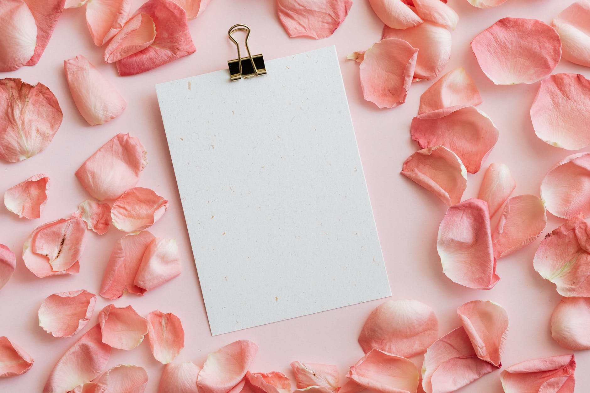 blank paper sheet among pink petals